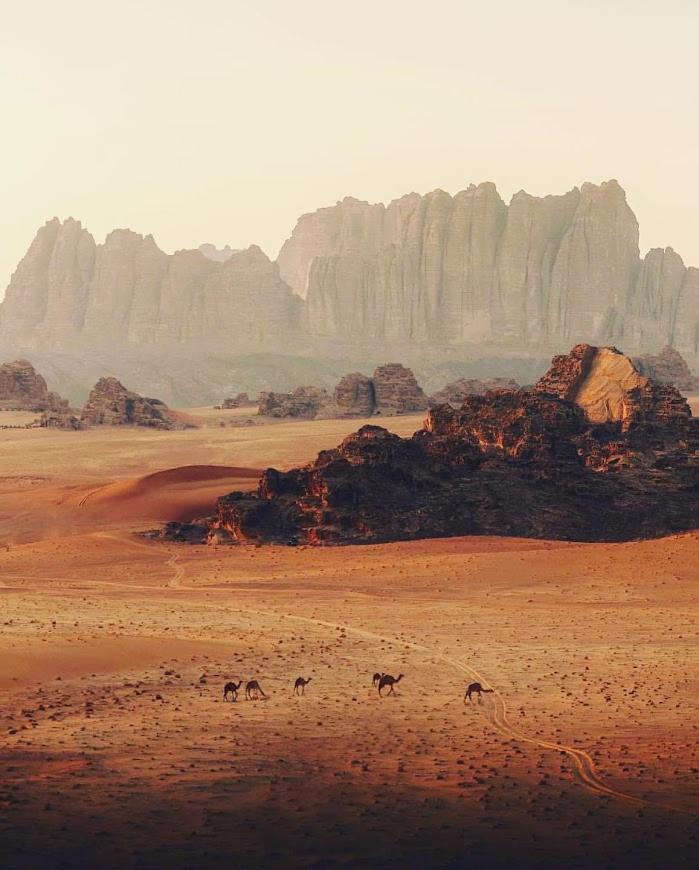 Wadi Rum Desert Camp Luaran gambar